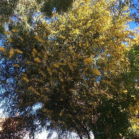 Appartamento Sole Olbia