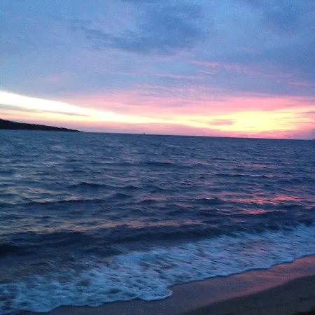 Sole Olbia